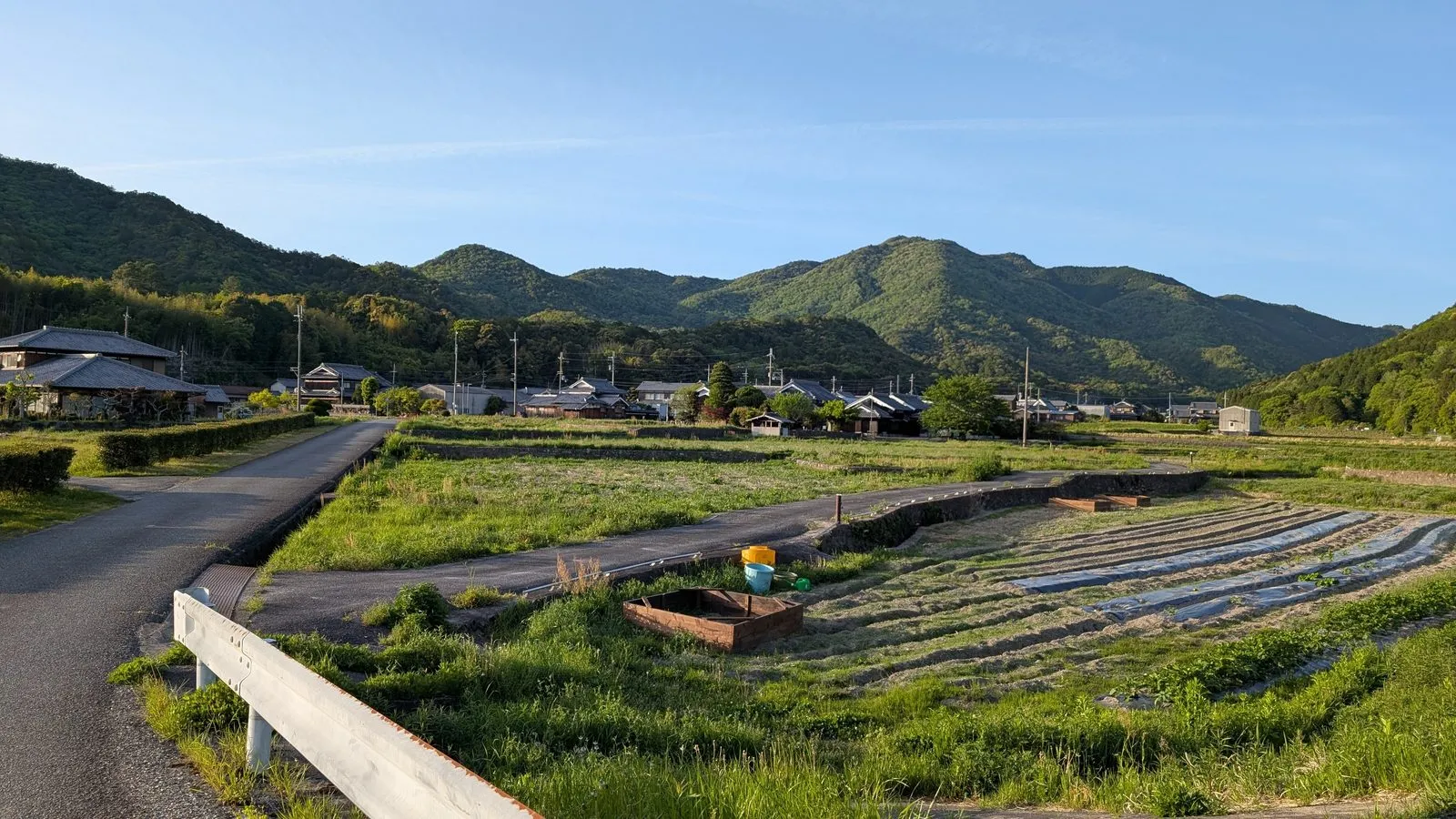 夏の村の原風景 ― 小川・青い稲穂・夏の光
